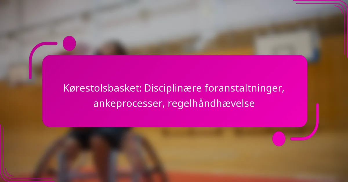 Kørestolsbasket: Disciplinære foranstaltninger, ankeprocesser, regelhåndhævelse