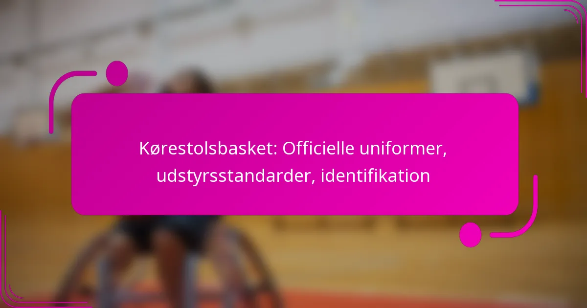 Kørestolsbasket: Officielle uniformer, udstyrsstandarder, identifikation