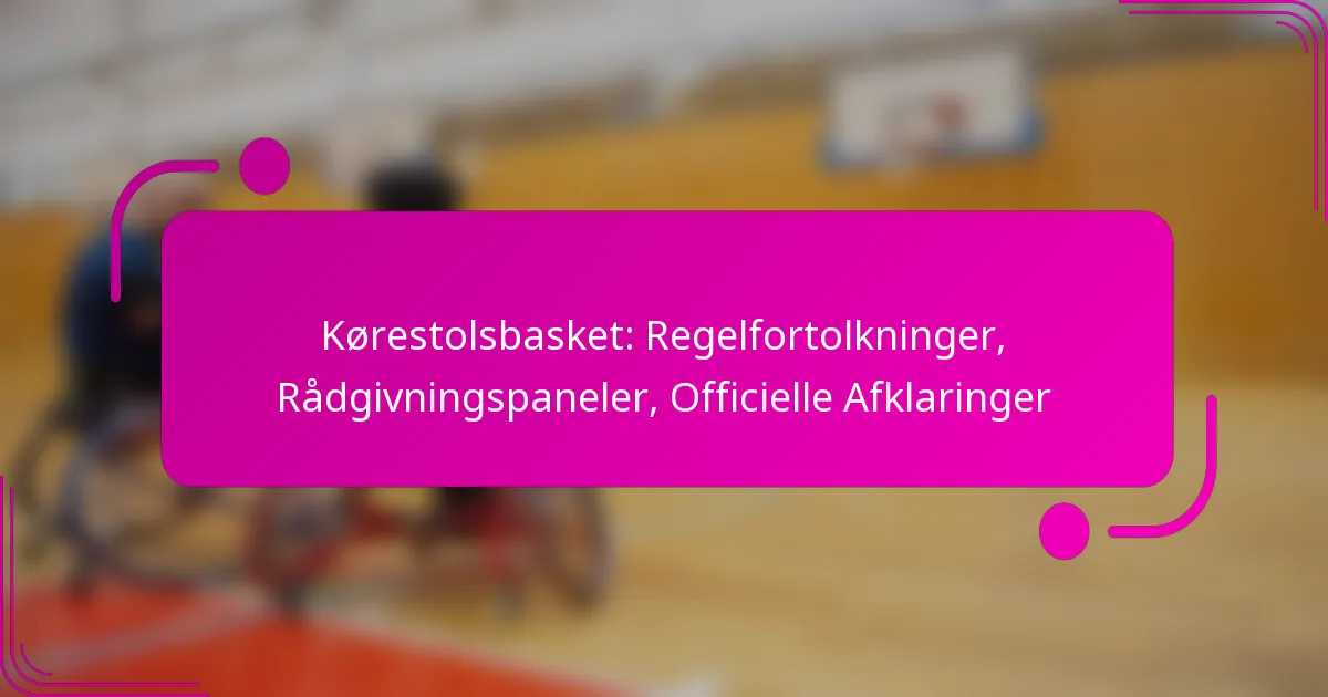 Kørestolsbasket: Regelfortolkninger, Rådgivningspaneler, Officielle Afklaringer