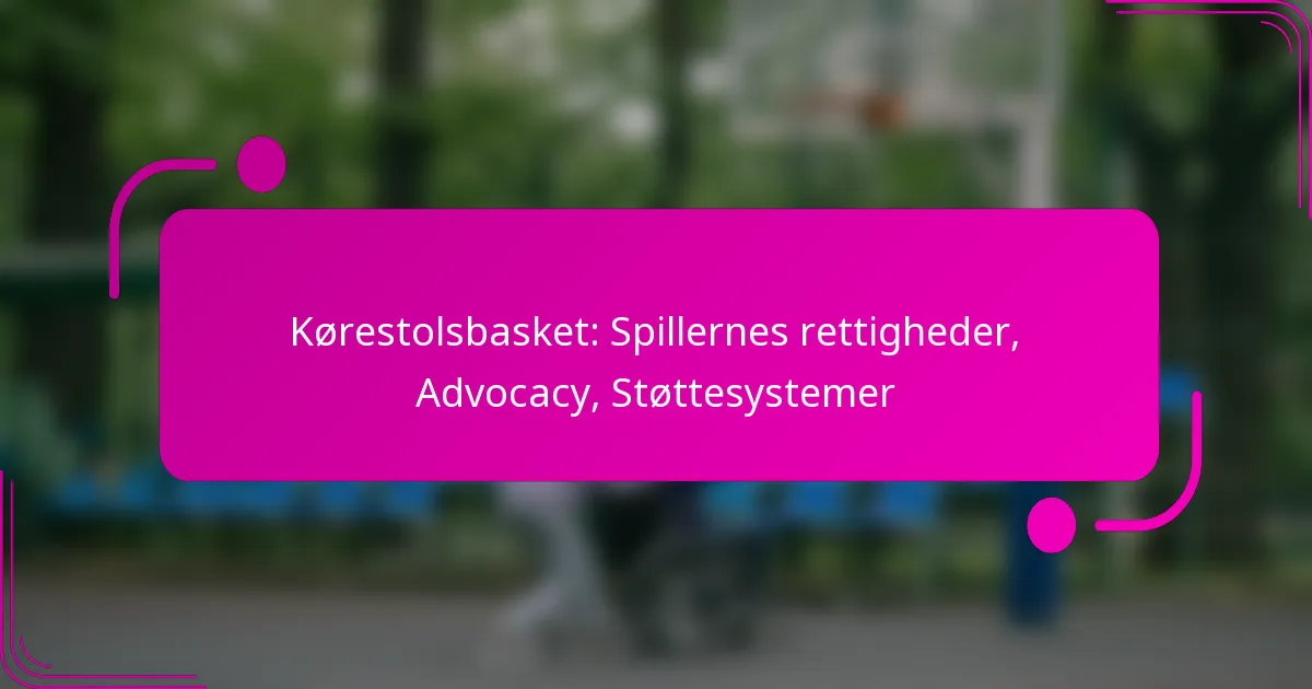 Kørestolsbasket: Spillernes rettigheder, Advocacy, Støttesystemer