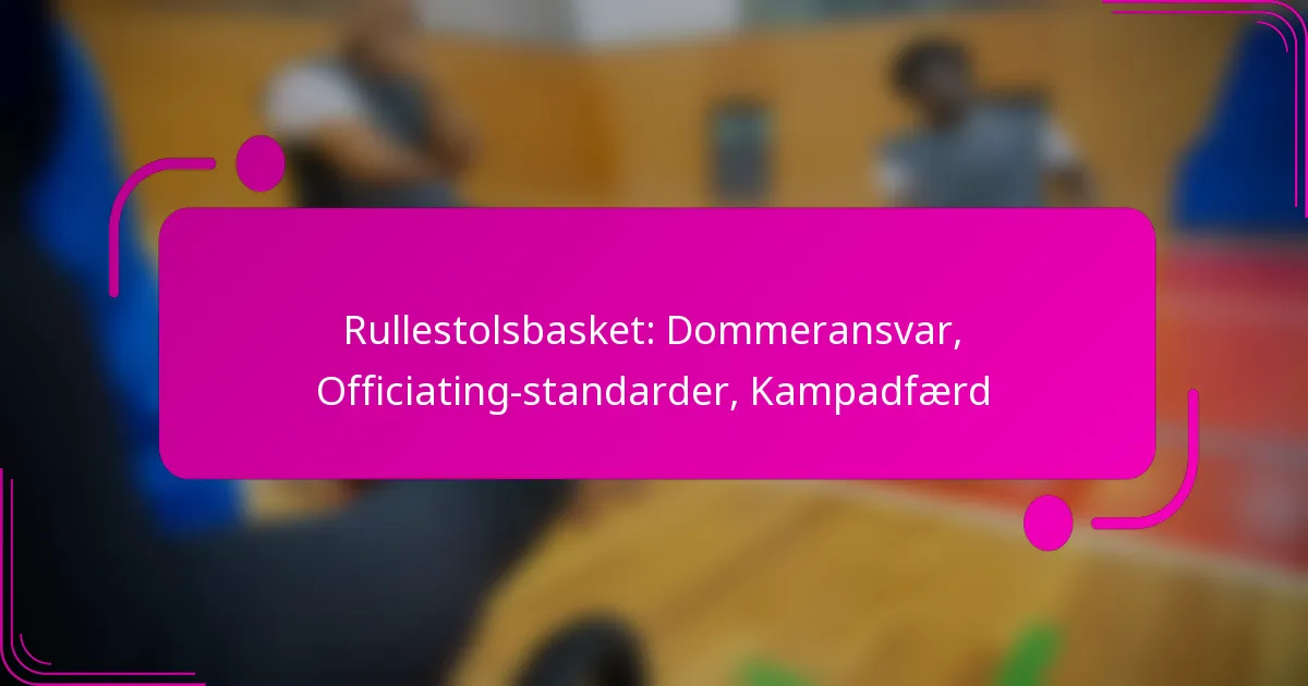 Rullestolsbasket: Dommeransvar, Officiating-standarder, Kampadfærd