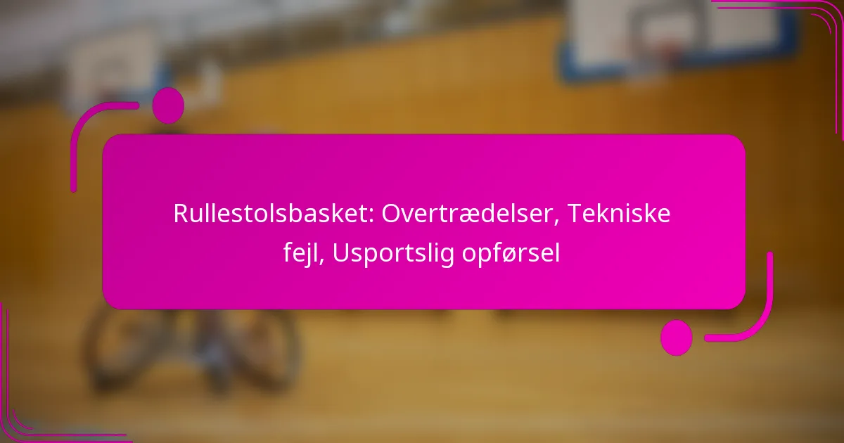 Rullestolsbasket: Overtrædelser, Tekniske fejl, Usportslig opførsel