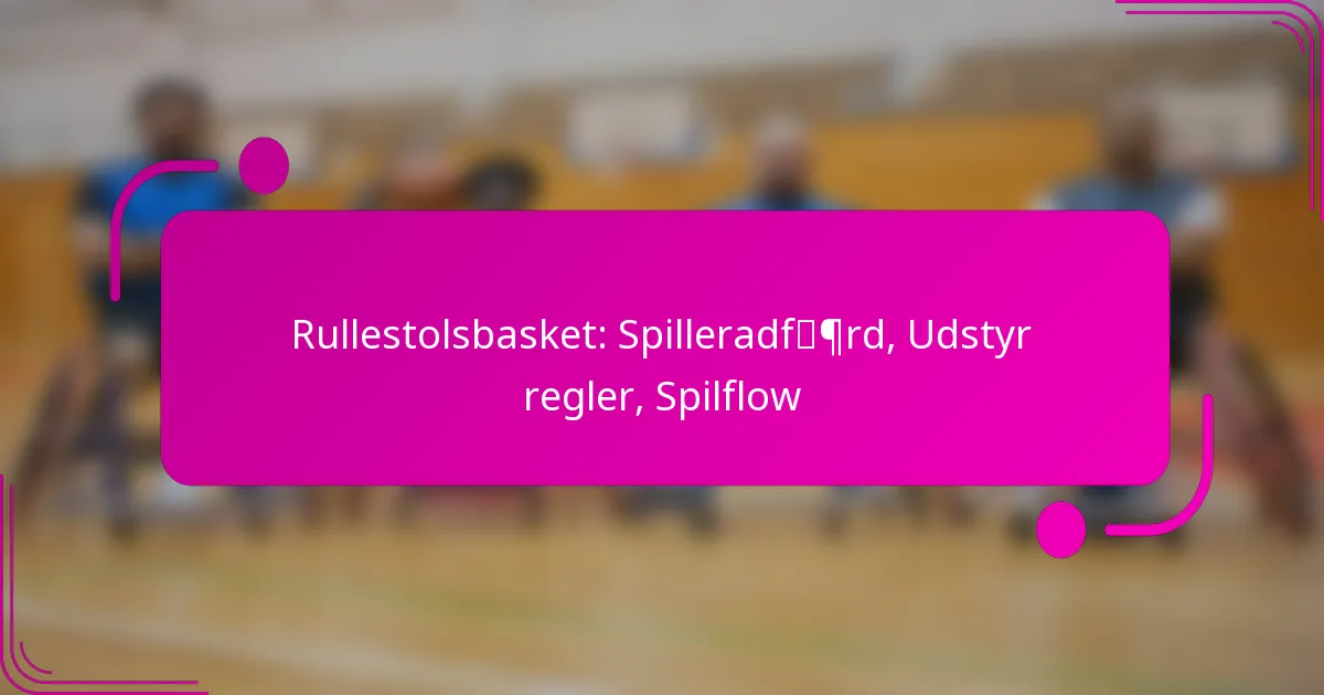 Rullestolsbasket: Spilleradfærd, Udstyr regler, Spilflow