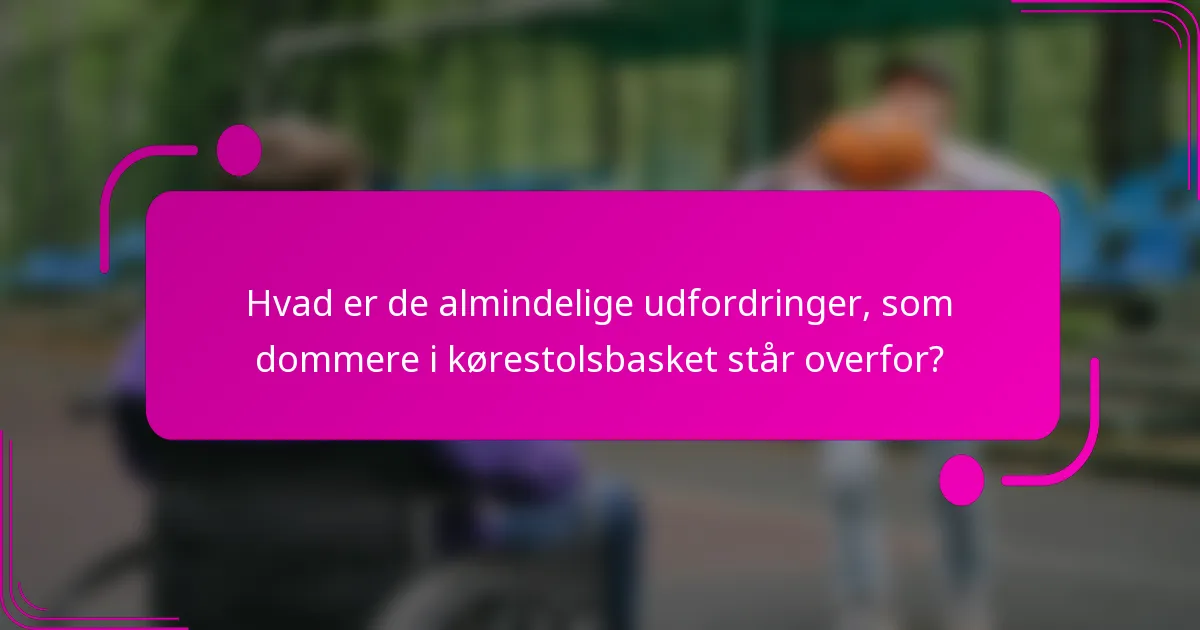 Hvad er de almindelige udfordringer, som dommere i kørestolsbasket står overfor?