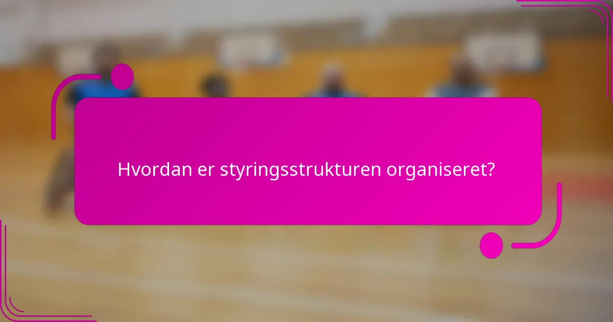 Hvordan er styringsstrukturen organiseret?